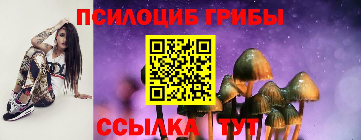 Галлюциногенные грибы MAGIC MUSHROOMS Омск