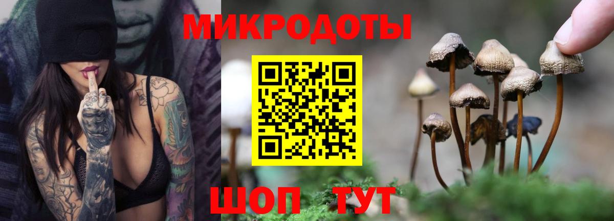 Омск  Галлюциногенные грибы Cubensis  Псилоцибиновые грибы мухоморы  Вход с VPN 